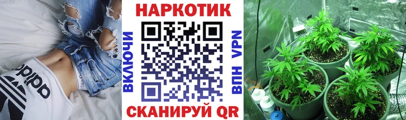 Купить наркоту Мосальск Гашиш  Alpha PVP  Мефедрон  КЕТАМИН  МАРИХУАНА 