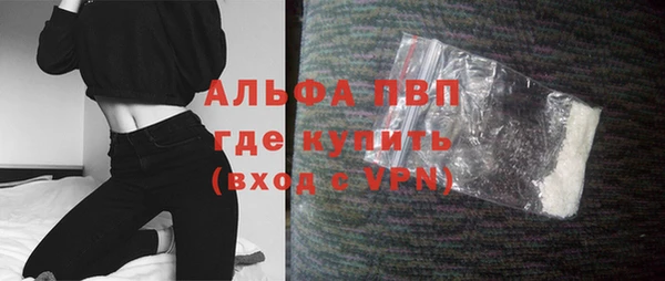 амф Гусиноозёрск