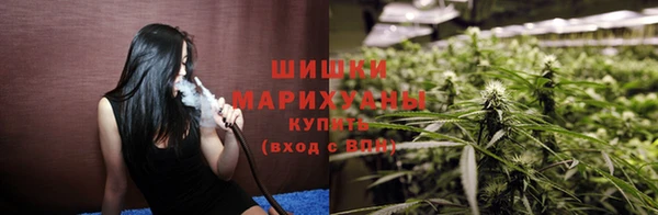 тгк Гусь-Хрустальный