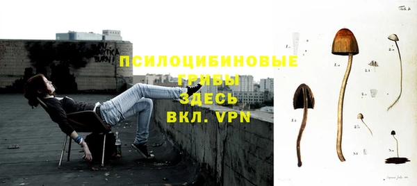 тгк Гусь-Хрустальный