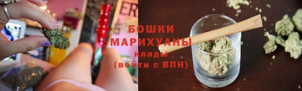 таблы Гусев