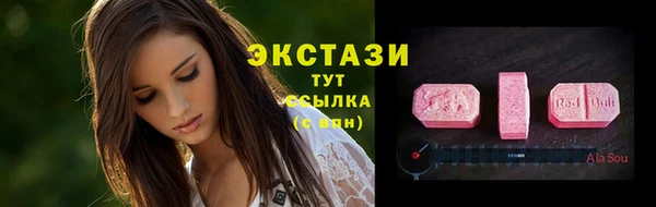 таблы Гусев