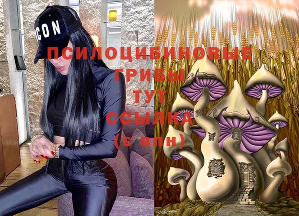 таблы Гусев
