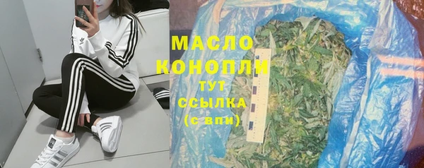 амф Гусиноозёрск