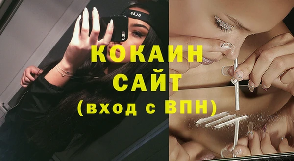тгк Гусь-Хрустальный