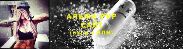 таблы Гусев